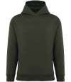 NS441 Native Spirit Unisex Oversized Hooded Sweatshirt organic khaki colour image
